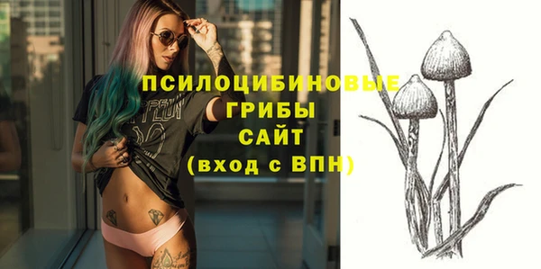COCAINE Гусев