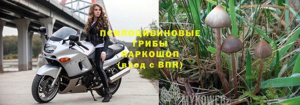 mix Гусь-Хрустальный