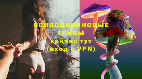 mix Гусь-Хрустальный