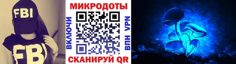 Псилоцибиновые грибы Psilocybe  omg онион  Гусиноозёрск 